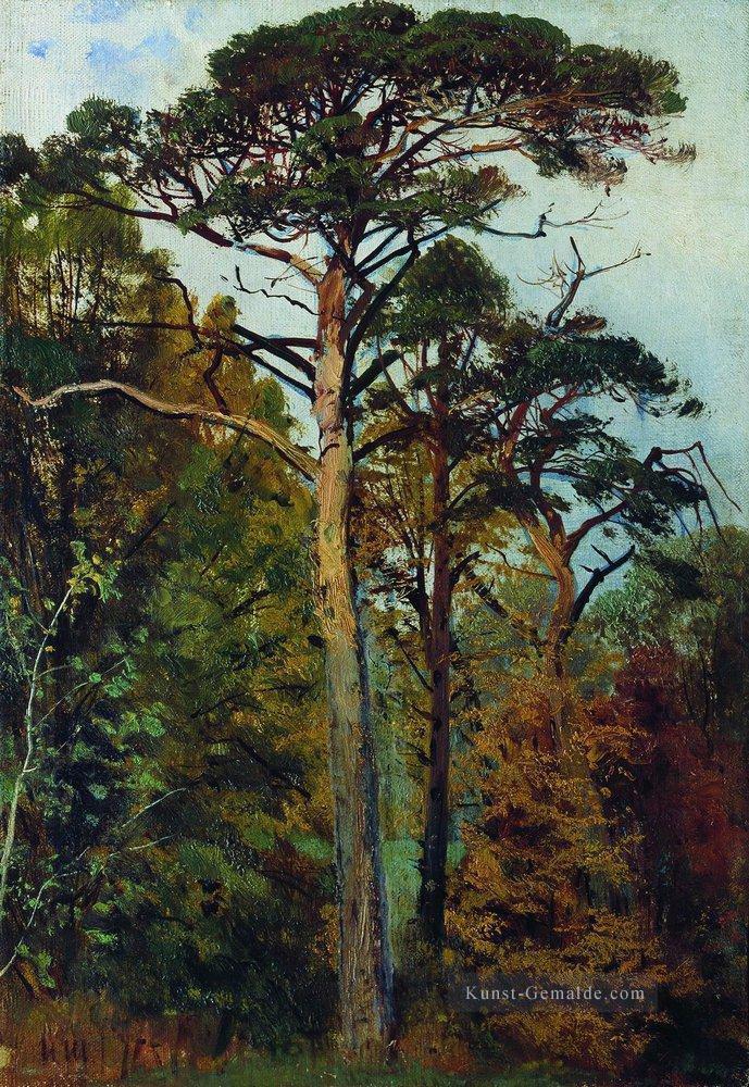 Kiefern klassische Landschaft Ivan Ivanovich Wald Ölgemälde